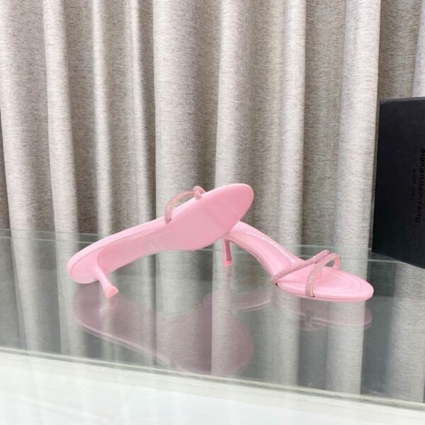 wsxc1742135927843_8 AW Alex Wang high heels