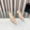 CHL 25ss pointed flat shoes and slippers Thick toe high heels