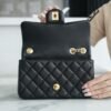CHL 23S Spring and Summer New Camellia Mini Black 20cm