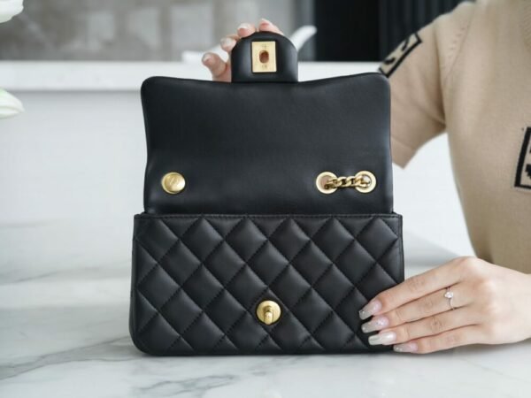 CHL 23S Spring and Summer New Camellia Mini Black 20cm