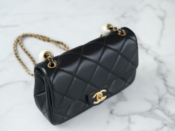 wsxc1742915247973_2 CHL 24s cf pearl dumplings small black 17cm/20.5cm