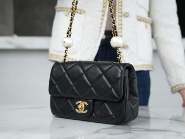 wsxc1742915247973_6 CHL 24s cf pearl dumplings small black 17cm/20.5cm