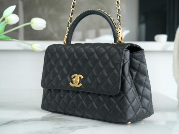 wsxc1742923105976_6 CHL 23P coco handle black medium 29cm