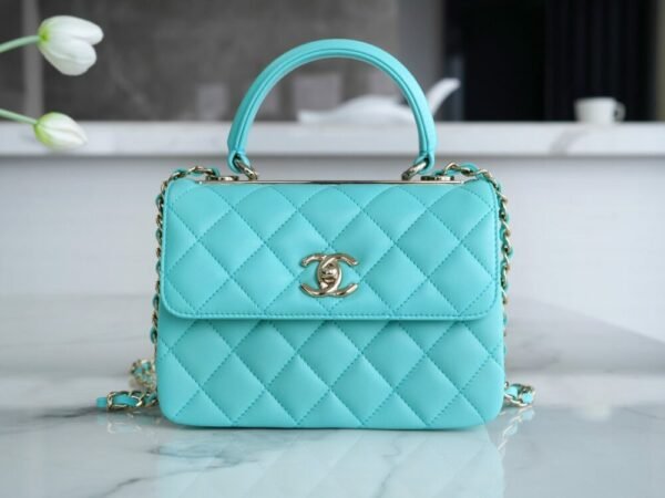 wsxc1742923366627_0 CHL 24C TrendyCC blue mini 19.5cm