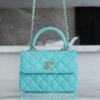 wsxc1742923366627_1 CHL 24C TrendyCC blue mini 19.5cm