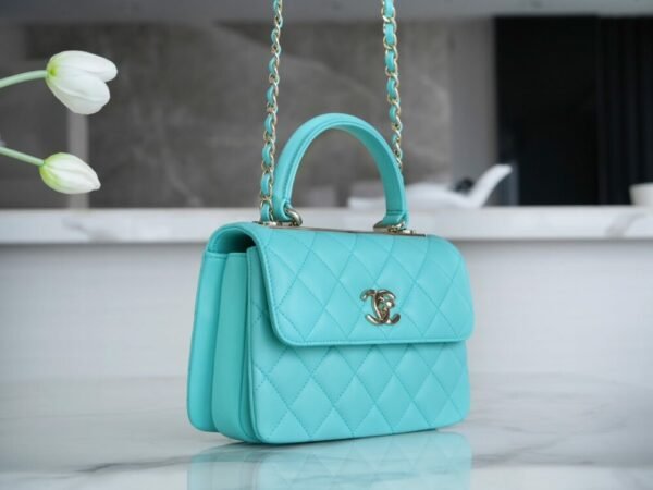 wsxc1742923366627_2 CHL 24C TrendyCC blue mini 19.5cm