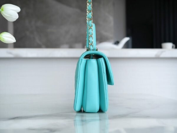 wsxc1742923366627_3 CHL 24C TrendyCC blue mini 19.5cm