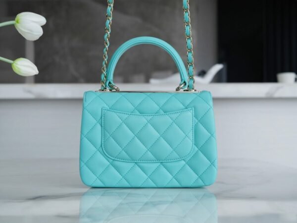 wsxc1742923366627_4 CHL 24C TrendyCC blue mini 19.5cm