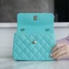 wsxc1742923366627_6 CHL 24C TrendyCC blue mini 19.5cm