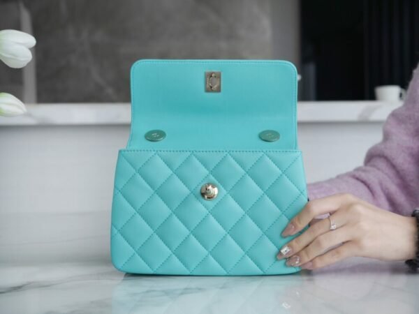 wsxc1742923366627_6 CHL 24C TrendyCC blue mini 19.5cm