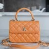 wsxc1742923459352_0 CHL 24C TrendyCC caramel color mini 19.5cm