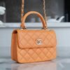 wsxc1742923459352_1 CHL 24C TrendyCC caramel color mini 19.5cm
