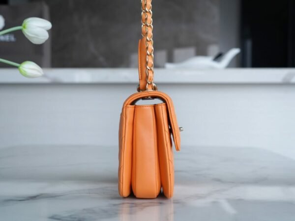 wsxc1742923459352_2 CHL 24C TrendyCC caramel color mini 19.5cm