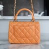wsxc1742923459352_3 CHL 24C TrendyCC caramel color mini 19.5cm