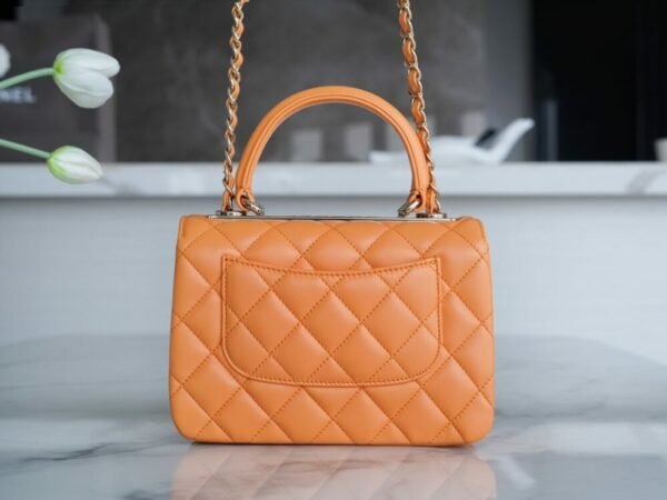 wsxc1742923459352_3 CHL 24C TrendyCC caramel color mini 19.5cm