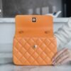 wsxc1742923459352_5 CHL 24C TrendyCC caramel color mini 19.5cm