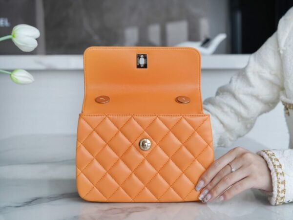 wsxc1742923459352_5 CHL 24C TrendyCC caramel color mini 19.5cm