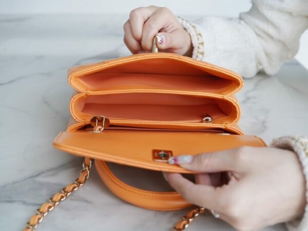 wsxc1742923459352_6 CHL 24C TrendyCC caramel color mini 19.5cm