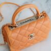 wsxc1742923459352_7 CHL 24C TrendyCC caramel color mini 19.5cm