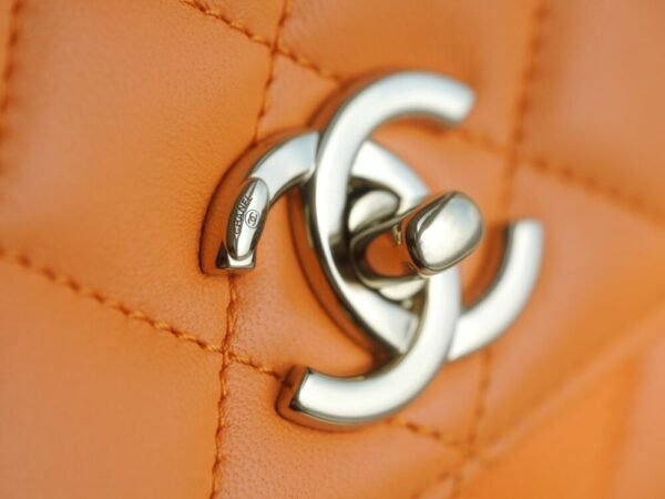 wsxc1742923459352_8 CHL 24C TrendyCC caramel color mini 19.5cm