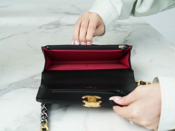 wsxc1742923988663_5 CHL 23p19 woc black gold 19cm