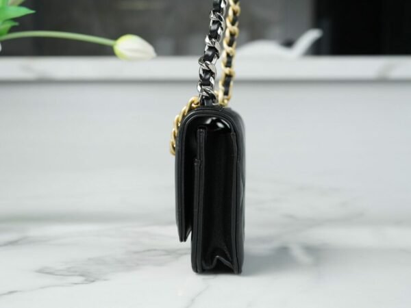 wsxc1742923988663_7 CHL 23p19 woc black gold 19cm