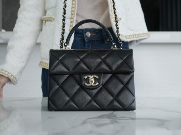 wsxc1742929139078_1 CHL 24p Kelly box with handle black 21cm