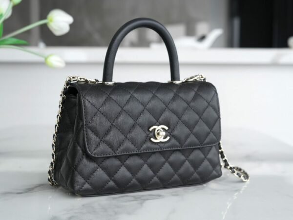 wsxc1742929231600_2 CHL coco handle small size leather handle black gold 24cm