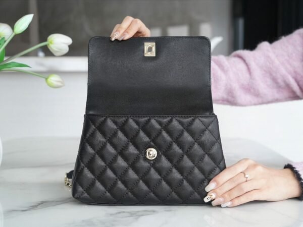 wsxc1742929231600_5 CHL coco handle small size leather handle black gold 24cm