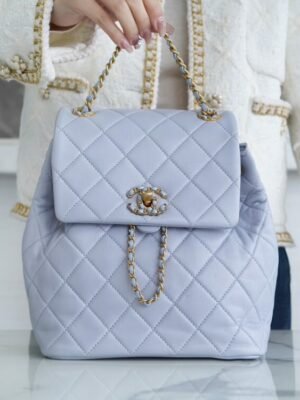 CHL 24p 19 Backpack Gray Blue 25cm