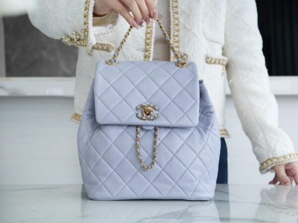 CHL 24p 19 Backpack Gray Blue 25cm