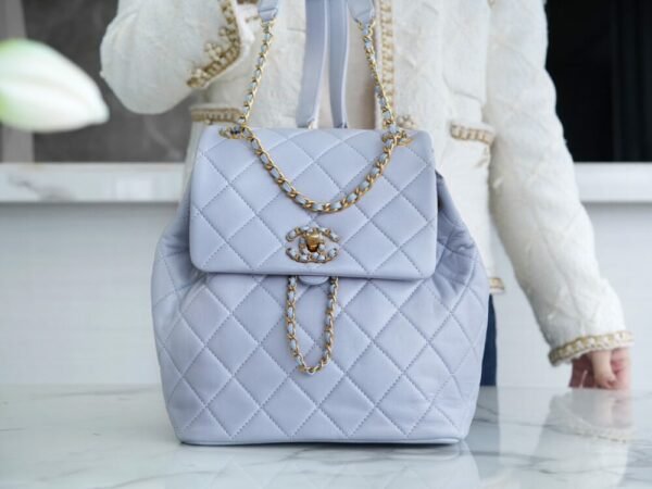 CHL 24p 19 Backpack Gray Blue 25cm