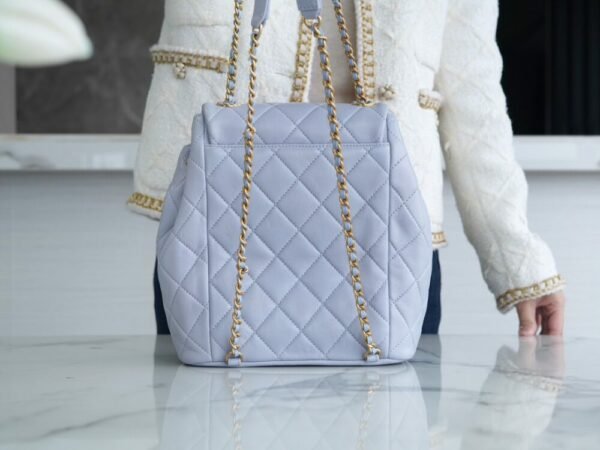 CHL 24p 19 Backpack Gray Blue 25cm