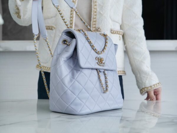 CHL 24p 19 Backpack Gray Blue 25cm