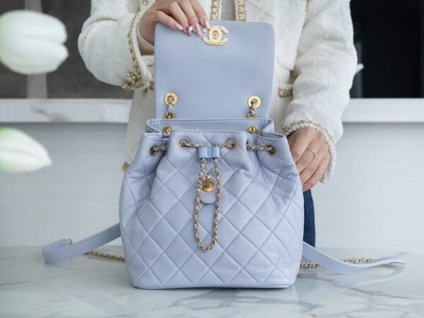 CHL 24p 19 Backpack Gray Blue 25cm