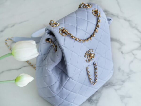 CHL 24p 19 Backpack Gray Blue 25cm