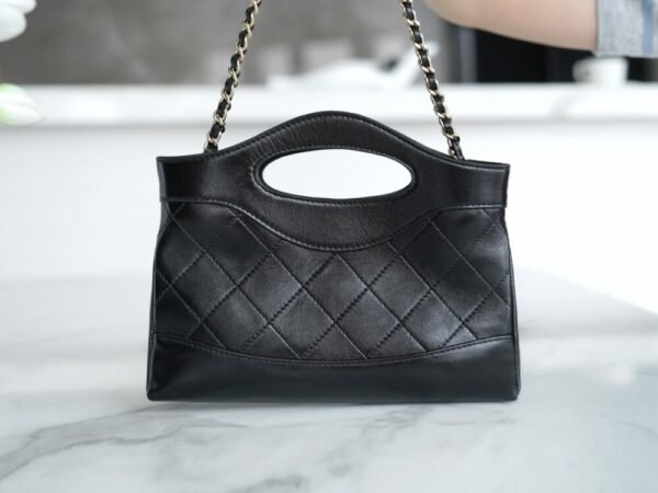 wsxc1742934042945_4 CHL 24C horizontal 31bagmini black 20.5cm