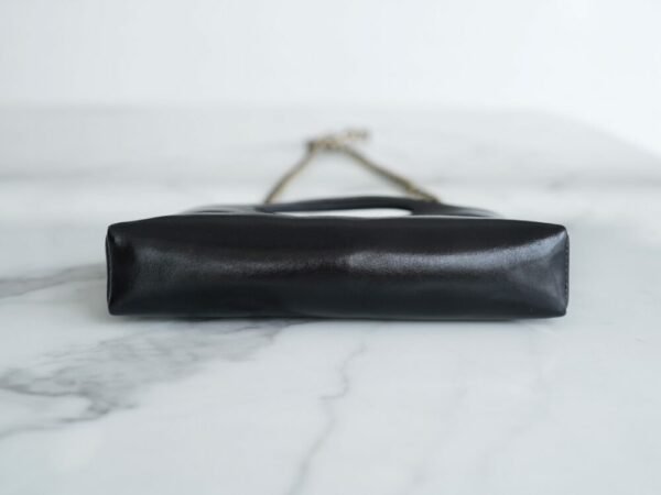 wsxc1742934042945_5 CHL 24C horizontal 31bagmini black 20.5cm