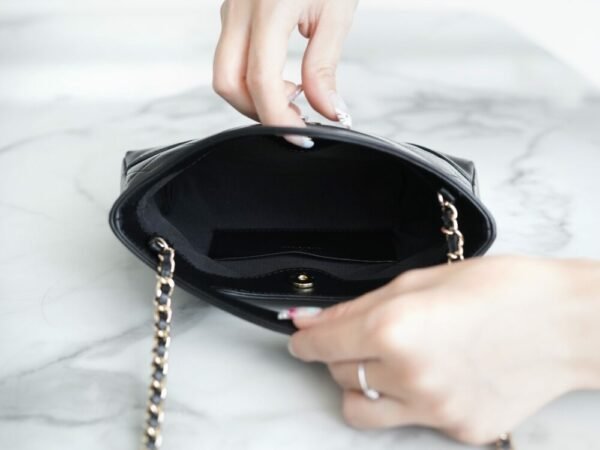 wsxc1742934042945_6 CHL 24C horizontal 31bagmini black 20.5cm