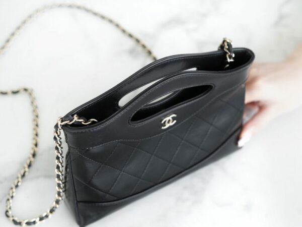 wsxc1742934042945_7 CHL 24C horizontal 31bagmini black 20.5cm