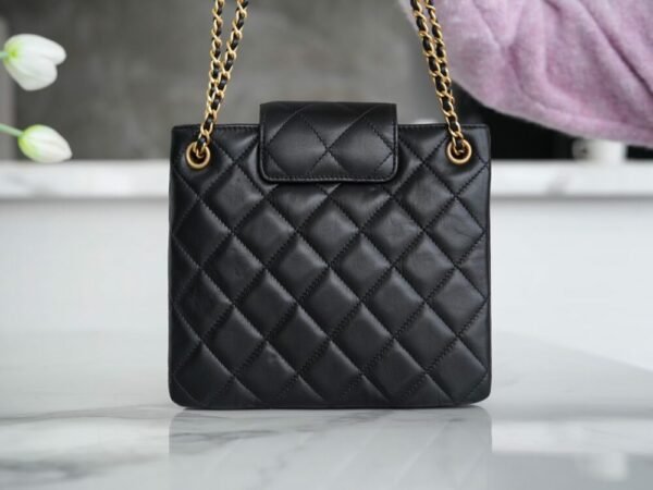 wsxc1742934466659_2 CHL 24c retro large logo underarm bag 20cm