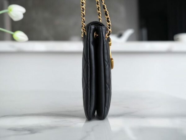 wsxc1742934466659_4 CHL 24c retro large logo underarm bag 20cm