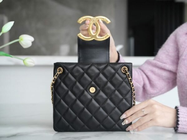 wsxc1742934466659_6 CHL 24c retro large logo underarm bag 20cm