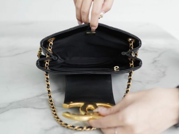 wsxc1742934466659_7 CHL 24c retro large logo underarm bag 20cm