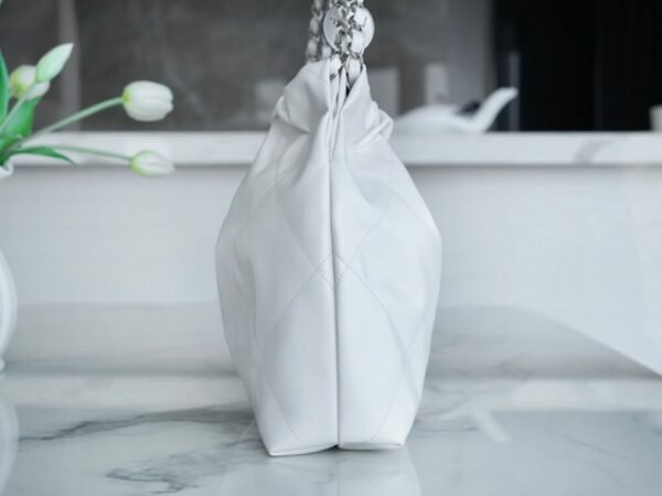 wsxc1742935610523_7 CHL 24C Horizontal 22 Handbag White Silver Buckle 45cm