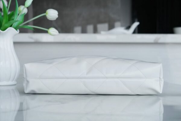 wsxc1742935610523_8 CHL 24C Horizontal 22 Handbag White Silver Buckle 45cm