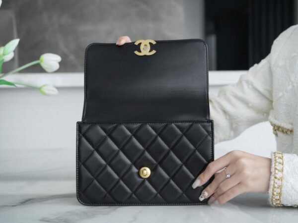 CHL 24c original calfskin double gold ball 22cm black