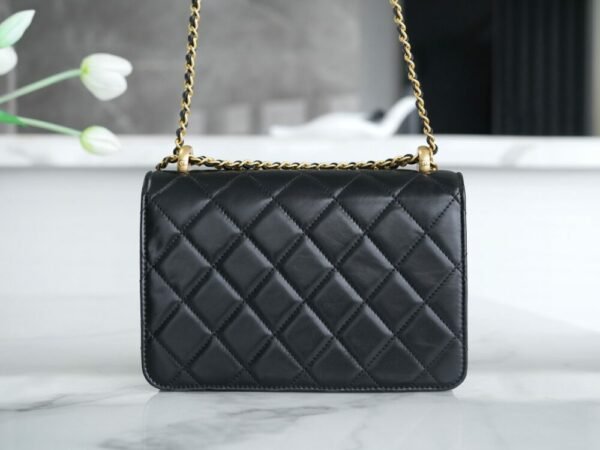 CHL 24c original calfskin double gold ball 22cm black