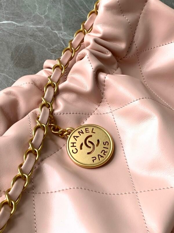 CHL 25c garbage bag 22bag AS3261 42cm