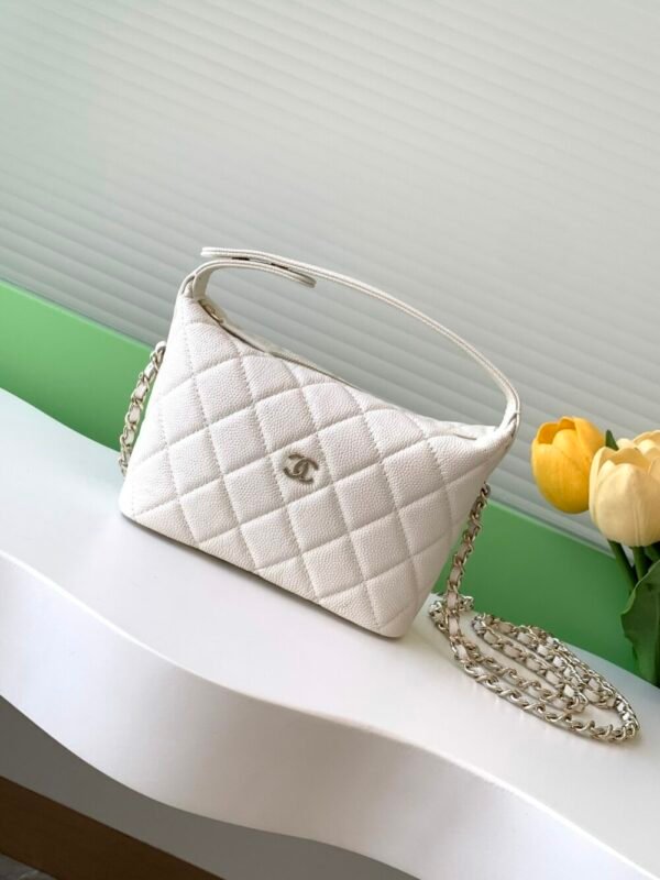 CHL 25C lunch box bag 19bag AP4386 21.5cm